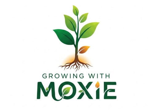 Home Gardening Solutions